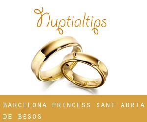 Barcelona Princess (Sant Adrià de Besòs)