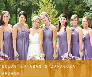 bodas en Abanto (Zaragoza, Aragón)
