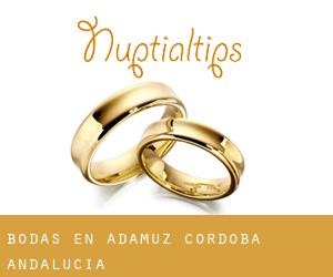 bodas en Adamuz (Córdoba, Andalucía)