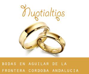bodas en Aguilar de la Frontera (Córdoba, Andalucía)