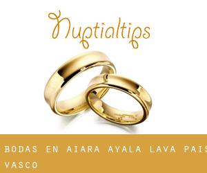 bodas en Aiara / Ayala (Álava, País Vasco)