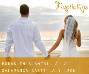 bodas en Alamedilla (La) (Salamanca, Castilla y León)