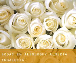 bodas en Alboloduy (Almería, Andalucía)