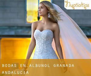 bodas en Albuñol (Granada, Andalucía) bodas en Albuñol (Granada, Andalucía)