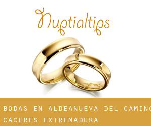 bodas en Aldeanueva del Camino (Cáceres, Extremadura)