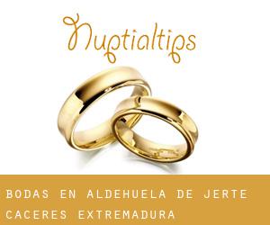 bodas en Aldehuela de Jerte (Cáceres, Extremadura)