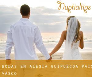 bodas en Alegia (Guipúzcoa, País Vasco)