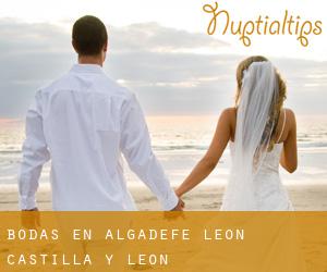 bodas en Algadefe (León, Castilla y León)