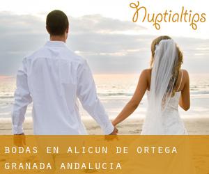 bodas en Alicún de Ortega (Granada, Andalucía)