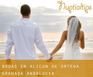 bodas en Alicún de Ortega (Granada, Andalucía) bodas en Alicún de Ortega (Granada, Andalucía)
