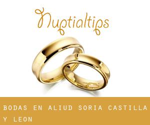 bodas en Aliud (Soria, Castilla y León) bodas en Aliud (Soria, Castilla y León)