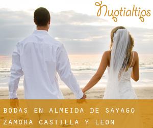 bodas en Almeida de Sayago (Zamora, Castilla y León)
