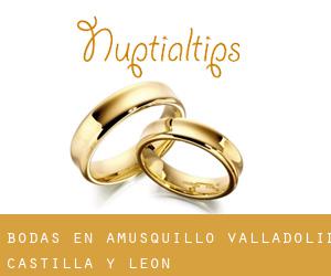 bodas en Amusquillo (Valladolid, Castilla y León) bodas en Amusquillo (Valladolid, Castilla y León)
