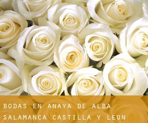 bodas en Anaya de Alba (Salamanca, Castilla y León)