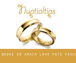 bodas en Araia (Álava, País Vasco)