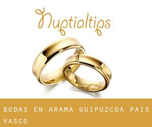 bodas en Arama (Guipúzcoa, País Vasco)