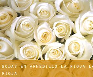 bodas en Arnedillo (La Rioja, La Rioja)