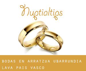bodas en Arratzua-Ubarrundia (Álava, País Vasco)