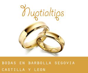 bodas en Barbolla (Segovia, Castilla y León)