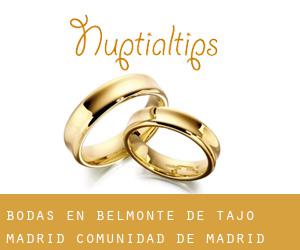 bodas en Belmonte de Tajo (Madrid, Comunidad de Madrid)