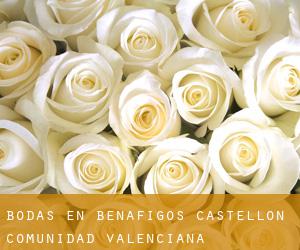 bodas en Benafigos (Castellón, Comunidad Valenciana)