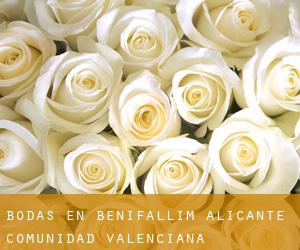 bodas en Benifallim (Alicante, Comunidad Valenciana)