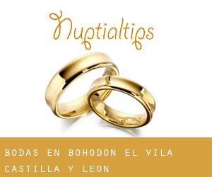 bodas en Bohodón (El) (Ávila, Castilla y León) bodas en Bohodón (El) (Ávila, Castilla y León)