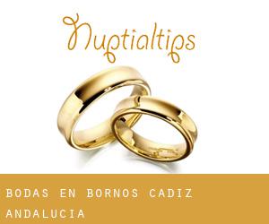 bodas en Bornos (Cádiz, Andalucía) bodas en Bornos (Cádiz, Andalucía)