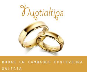 bodas en Cambados (Pontevedra, Galicia)