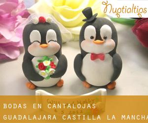 bodas en Cantalojas (Guadalajara, Castilla-La Mancha)