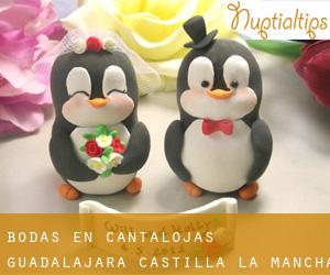 bodas en Cantalojas (Guadalajara, Castilla-La Mancha) bodas en Cantalojas (Guadalajara, Castilla-La Mancha)