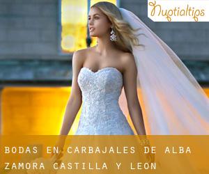 bodas en Carbajales de Alba (Zamora, Castilla y León)