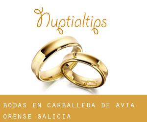 bodas en Carballeda de Avia (Orense, Galicia)