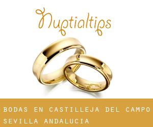 bodas en Castilleja del Campo (Sevilla, Andalucía)