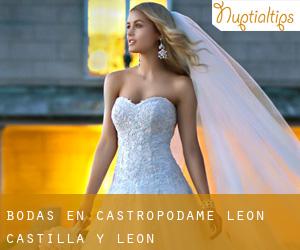 bodas en Castropodame (León, Castilla y León)