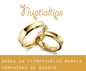 bodas en Ciempozuelos (Madrid, Comunidad de Madrid) bodas en Ciempozuelos (Madrid, Comunidad de Madrid)