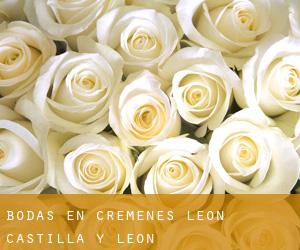 bodas en Crémenes (León, Castilla y León)