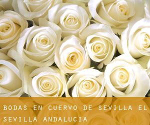 bodas en Cuervo de Sevilla (El) (Sevilla, Andalucía)