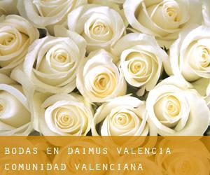bodas en Daimús (Valencia, Comunidad Valenciana)