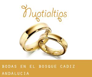 bodas en El Bosque (Cádiz, Andalucía) bodas en El Bosque (Cádiz, Andalucía)