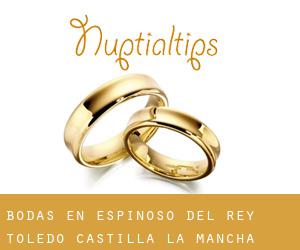 bodas en Espinoso del Rey (Toledo, Castilla-La Mancha)