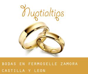 bodas en Fermoselle (Zamora, Castilla y León)