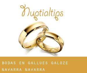 bodas en Gallués / Galoze (Navarra, Navarra)