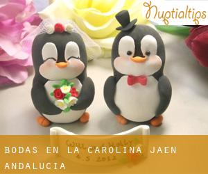 bodas en La Carolina (Jaén, Andalucía) bodas en La Carolina (Jaén, Andalucía)