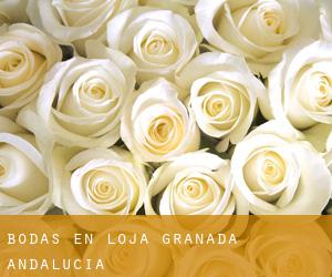 bodas en Loja (Granada, Andalucía)