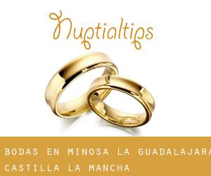 bodas en Miñosa (La) (Guadalajara, Castilla-La Mancha)