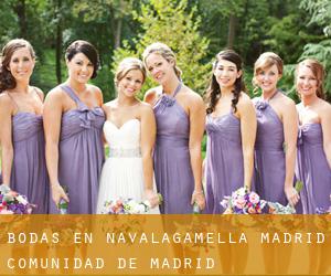 bodas en Navalagamella (Madrid, Comunidad de Madrid)