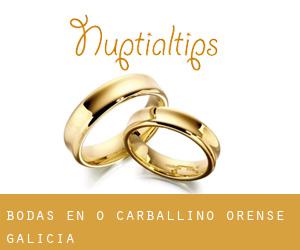 bodas en O Carballiño (Orense, Galicia)