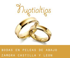 bodas en Peleas de Abajo (Zamora, Castilla y León)
