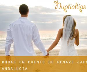 bodas en Puente de Génave (Jaén, Andalucía) bodas en Puente de Génave (Jaén, Andalucía)